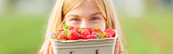 org:/banners product categories/vegetables_fruit/header-category.jpg